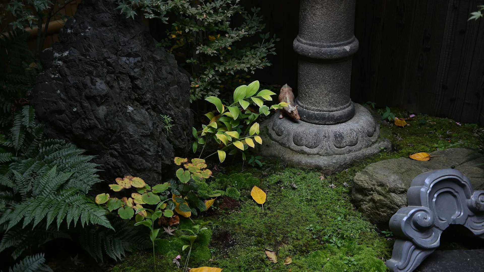 招待所 朴宿旅馆 京都